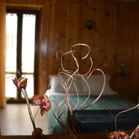 Apart-hotel Bellevue 2*