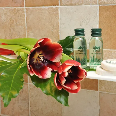 Aparthotel Bellevue Antey-Saint-Andre