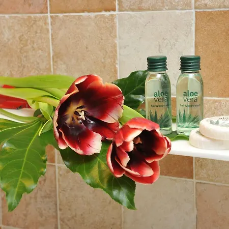 Bellevue 아파트호텔 Antey-Saint-André